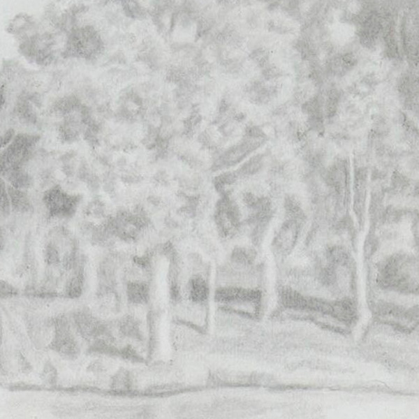 El Retiro Park - Detail